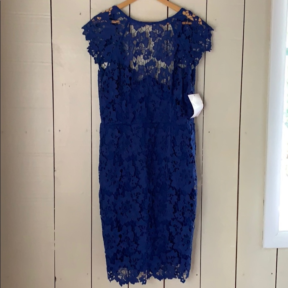 Paper Dolls London ✨ Royal Blue Lace Dress